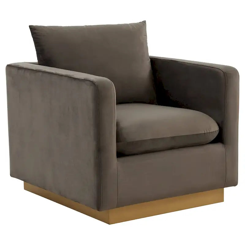 Nervo Velvet Modern Single Seater Sofa, poltrona accentata con base quadrata in acciaio inossidabile dorato per soggiorno e camera da letto - 32.67